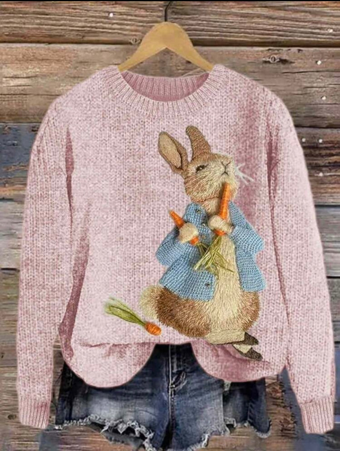 Peter Rabbit Sweater