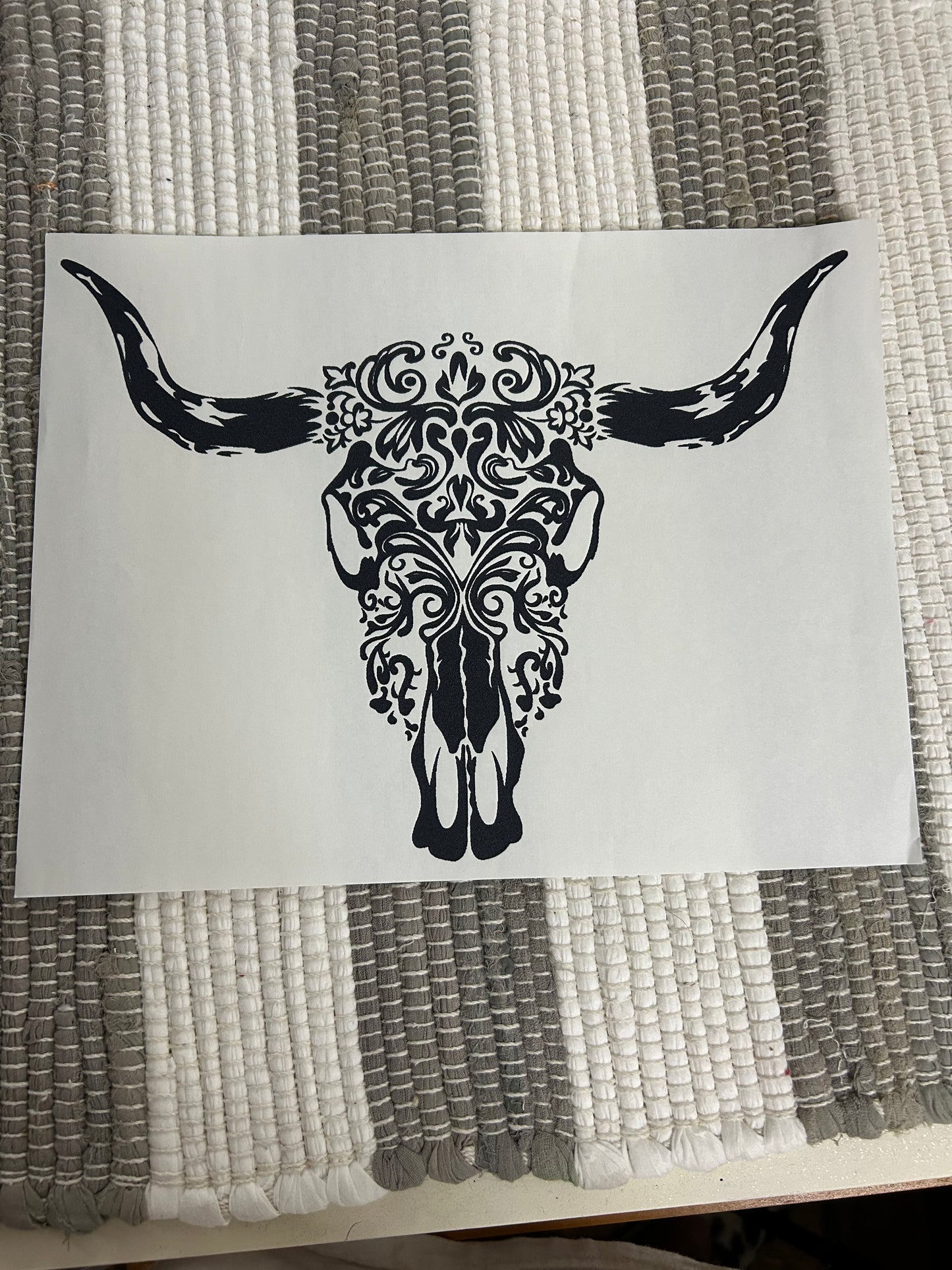 Longhorn skull